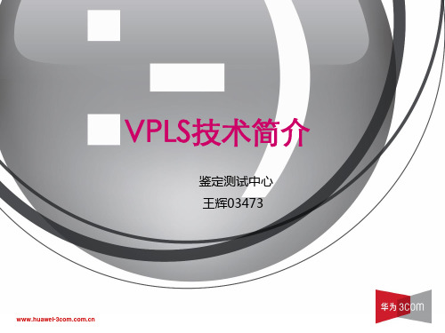 技术进阶:VPLS技术简介