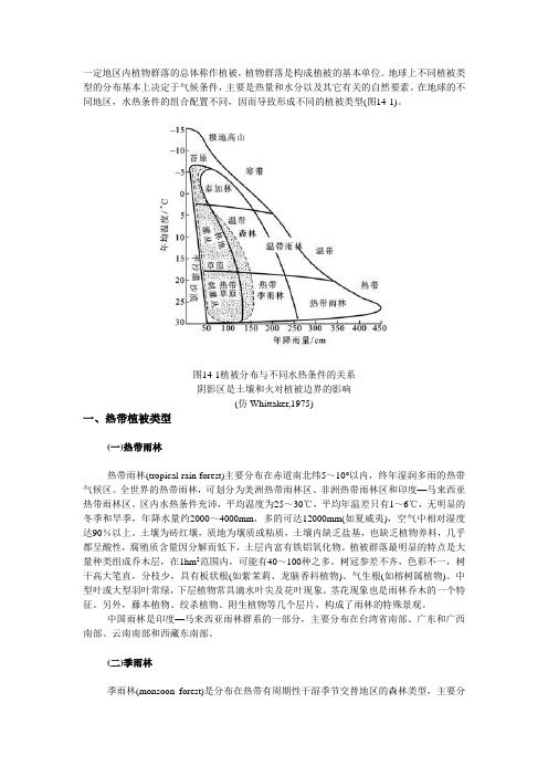 植被类型