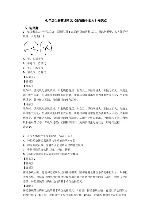 七年级生物第四单元《生物圈中的人》知识点