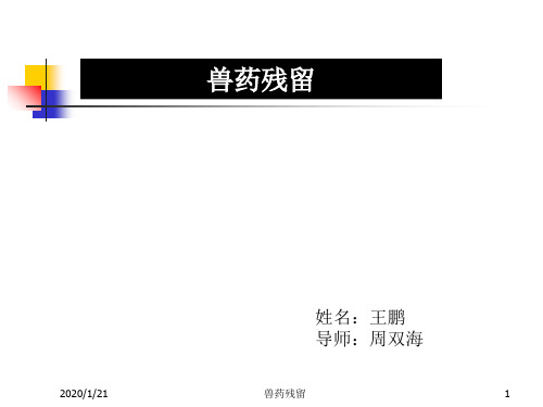 兽药残留-王鹏共27页文档