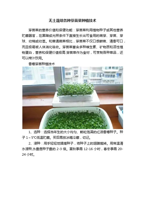 无土栽培各种芽苗菜种植技术