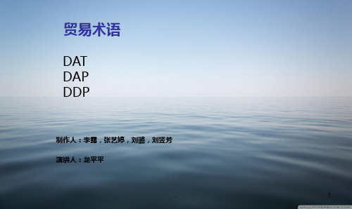 DAT-DAP-DDPPPT课件