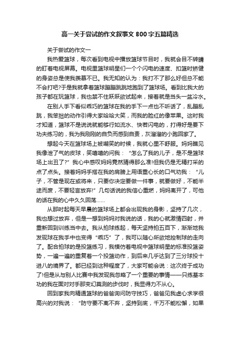 高一关于尝试的作文叙事文800字五篇精选