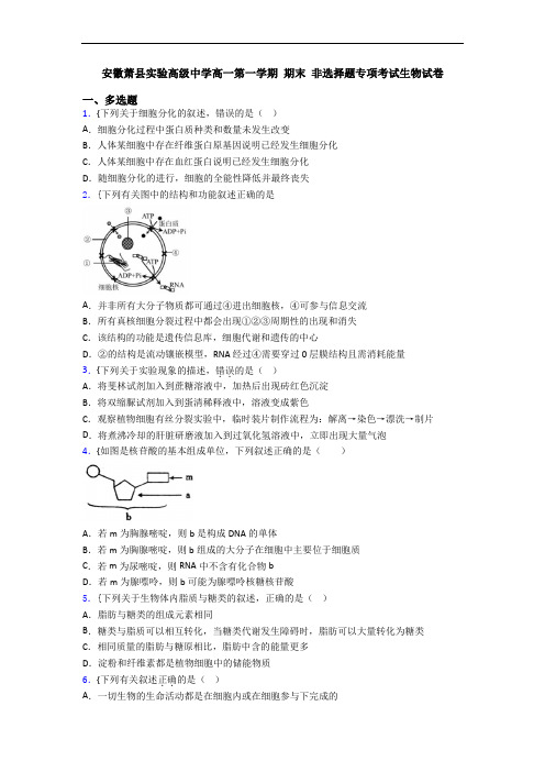 安徽萧县实验高级中学高一第一学期 期末 非选择题专项考试生物试卷