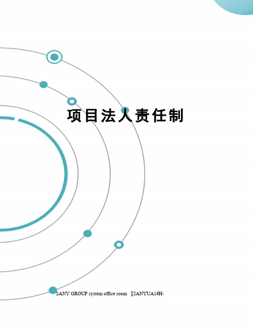 项目法人责任制