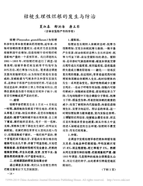 桔梗生理性烂根的发生与防治