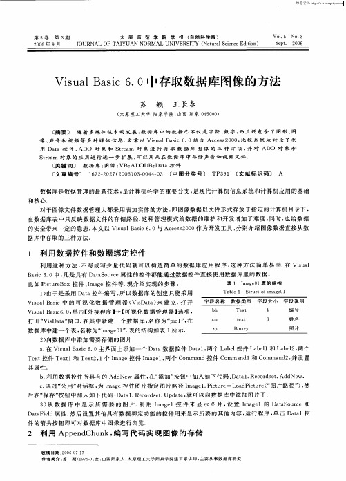 Visual Basic 6.0中存取数据库图像的方法