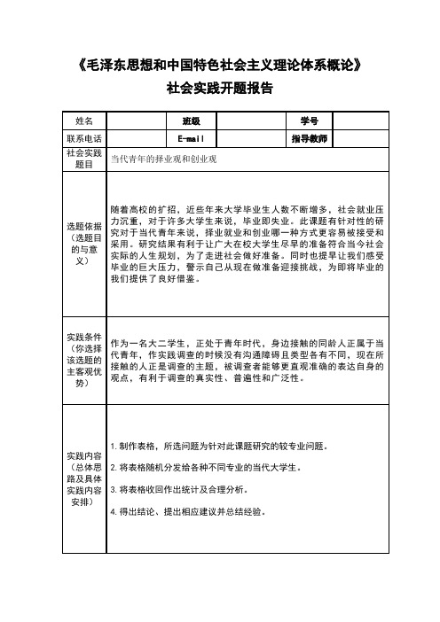 毛概社会实践开题报告