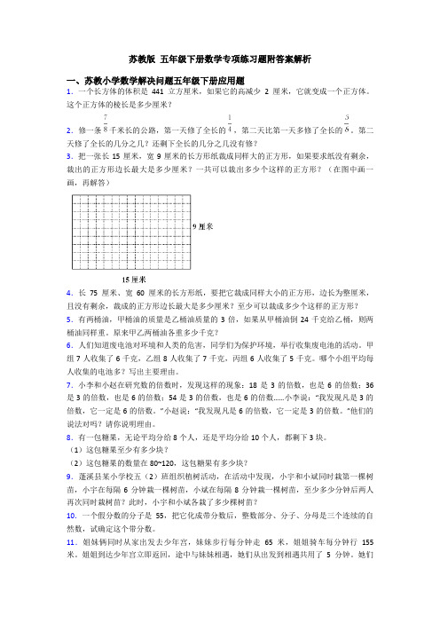 苏教版 五年级下册数学专项练习题附答案解析