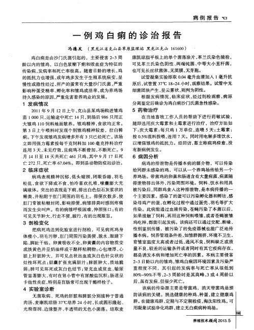 一例鸡白痢的诊治报告