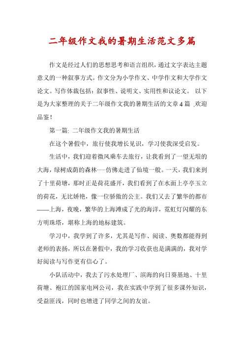 二年级作文我的暑期生活范文多篇