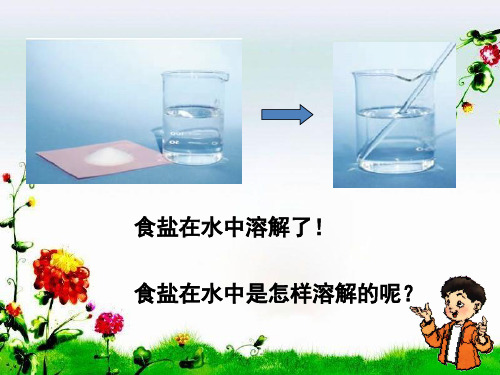 四年级上册科学课件2.2物质在水中是怎样溶解的教科版共26张PPT