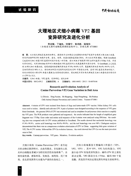 大理地区犬细小病毒VP2基因变异研究及进化分析