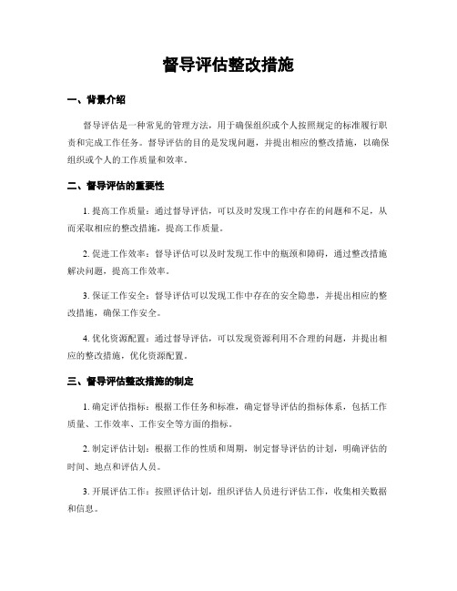 督导评估整改措施