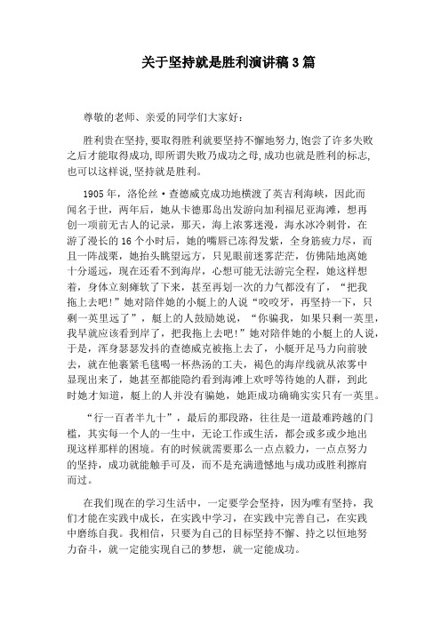 关于坚持就是胜利演讲稿3篇