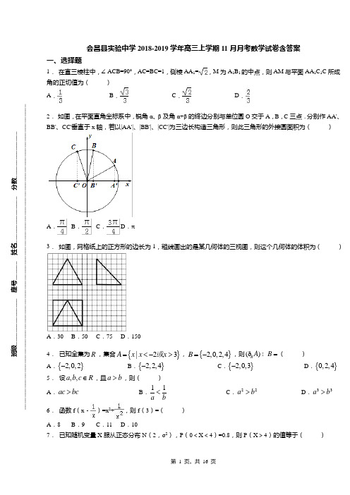 会昌县实验中学2018-2019学年高三上学期11月月考数学试卷含答案