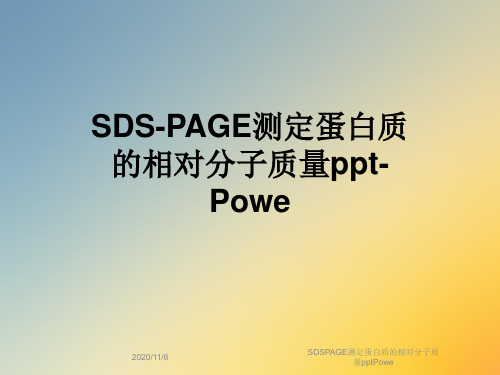 SDSPAGE测定蛋白质的相对分子质量pptPowe