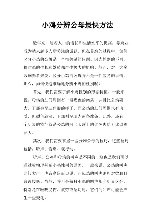 小鸡分辨公母最快方法