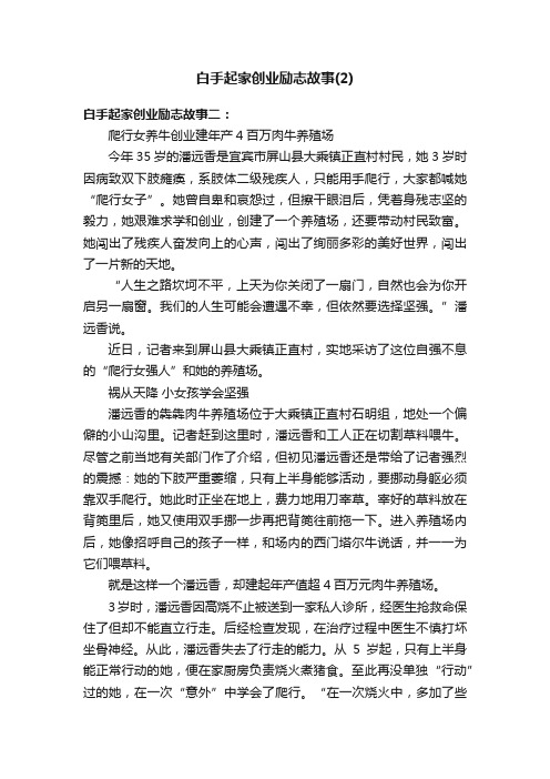 白手起家创业励志故事（2）