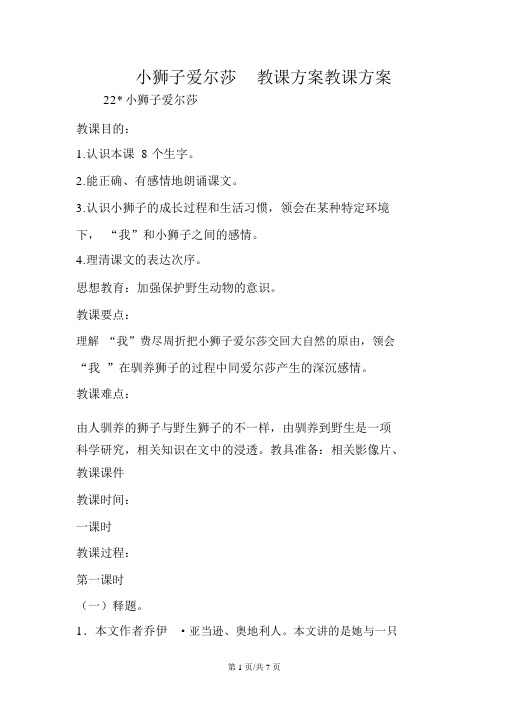 小狮子爱尔莎教案教学设计