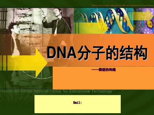 DNA分子的结构说课ppt课件