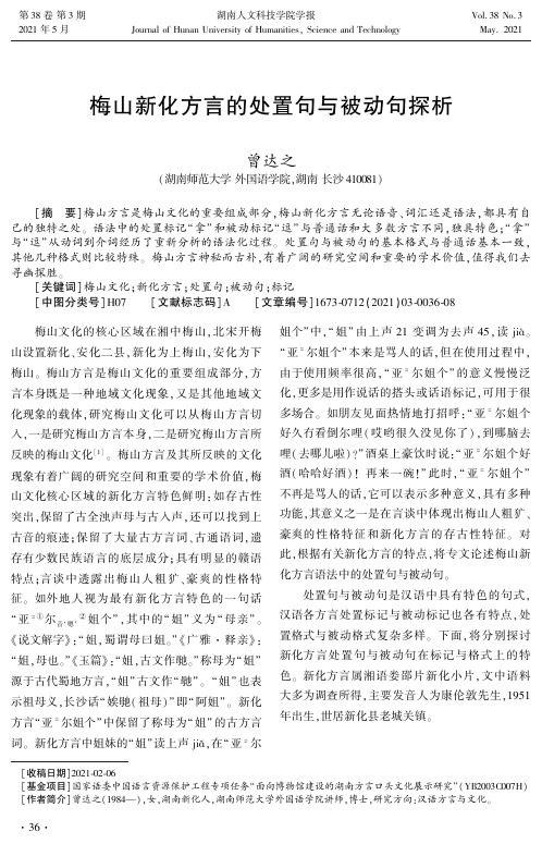 梅山新化方言的处置句与被动句探析