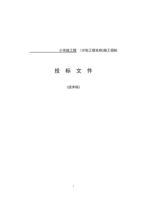 小市政工程技术标