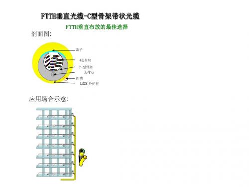 FTTH垂直光缆-C型骨架带状光缆