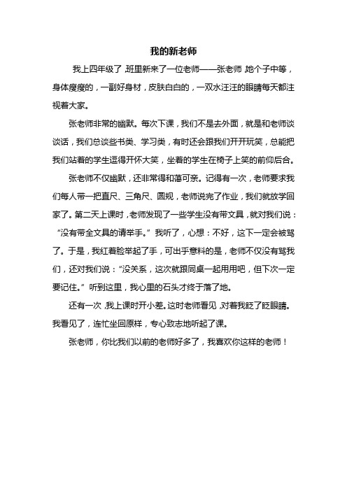 四年级作文：我的新老师作文400字