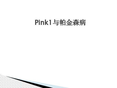 Pink1与帕金森病