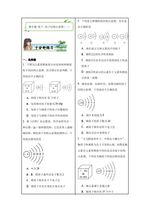 2025年中考复习化学微专题系列 离子、原子结构示意图(二)