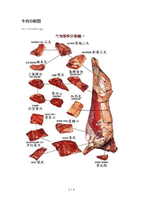 牛肉分解图