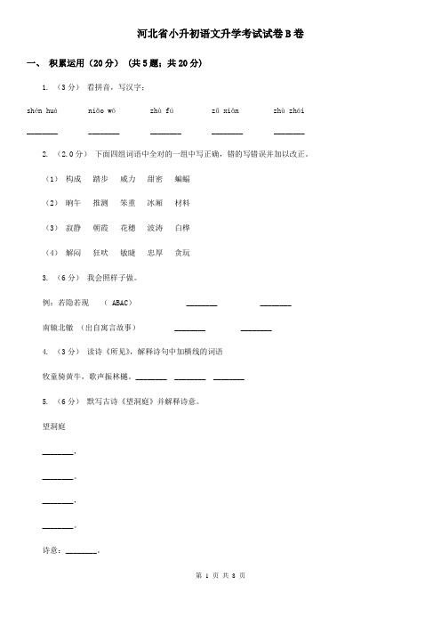 河北省小升初语文升学考试试卷B卷