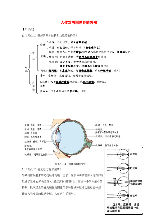 山东省安丘市七年级生物下册第三单元第五章第四节人体对周围世界的感知知识点+巩固提高新版济南