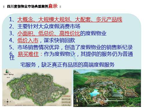 峨眉山文化旅游产业区总体运作思路及产品规划建议2