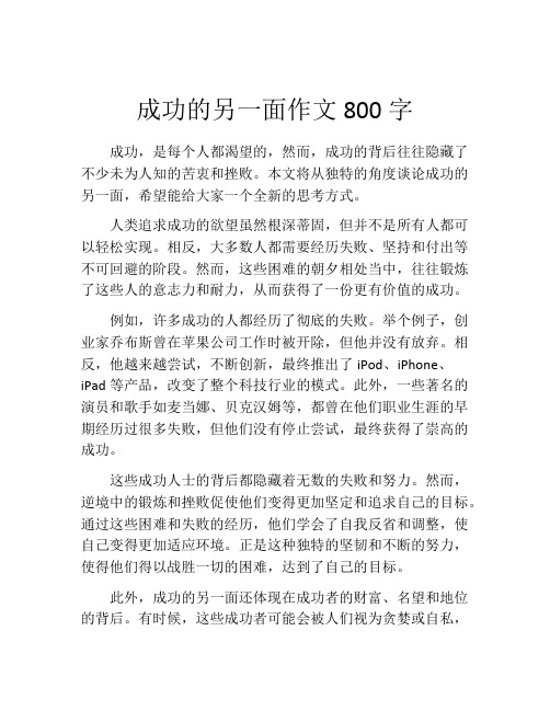 成功的另一面作文800字