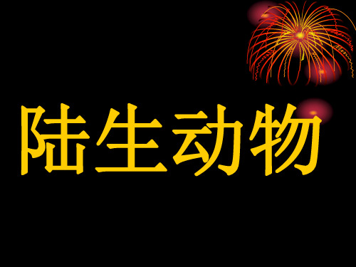 华东师大版科学七年级上册 1.1《艳丽多姿的生物-陆生动物》 课件 (共24张PPT)