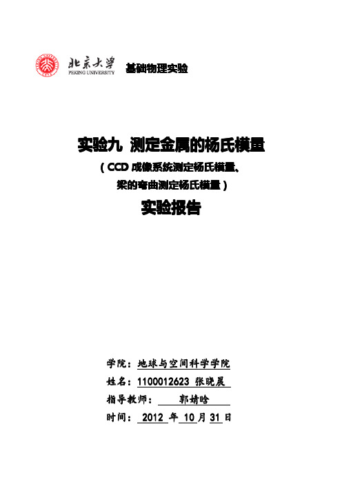 实验九测定金属的杨氏模量实验报告