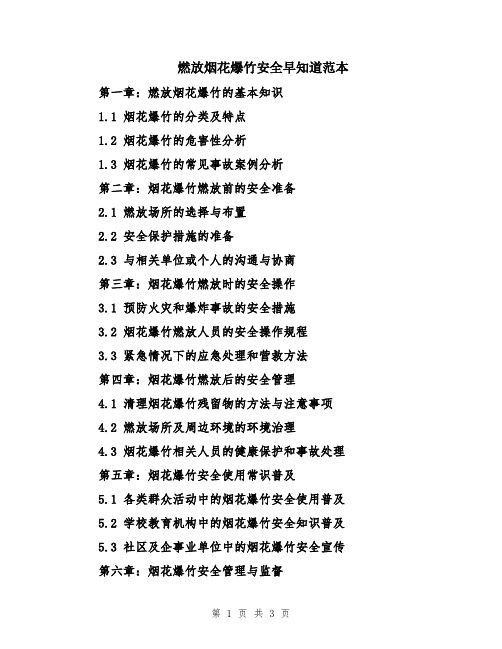 燃放烟花爆竹安全早知道范本