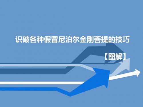 识破各种假冒尼泊尔金刚菩提的技巧【图解】