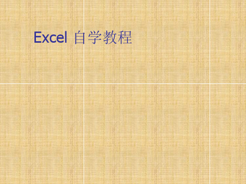 EXCEL教程(完整版)