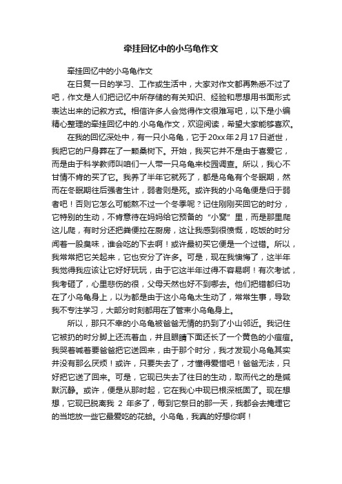 牵挂回忆中的小乌龟作文