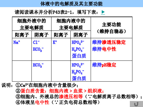 2.2水和电解质的平衡及其调节