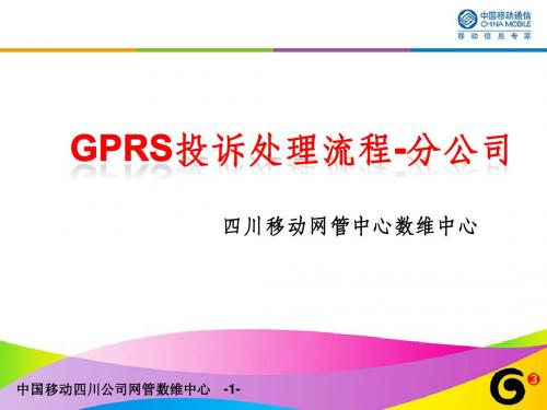 GPRS投诉处理流程-分公司0719