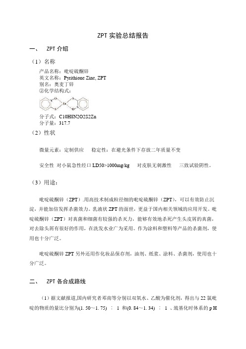 ZPT实验总结报告09