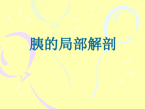 胰、十二指肠、门静脉、脾的局部解剖