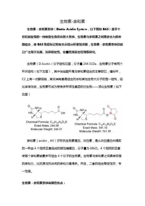 生物素-亲和素