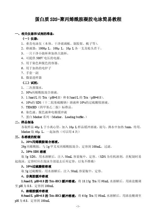 蛋白质SDS-聚丙烯酰胺凝胶电泳简易教程