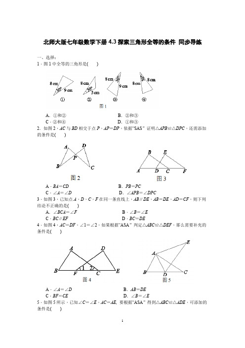 北师大版七年级数学下册4.3探索三角形全等的条件 同步导练 含答案