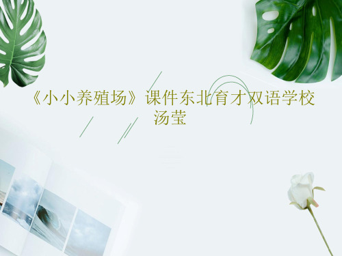《小小养殖场》课件东北育才双语学校汤莹共21页